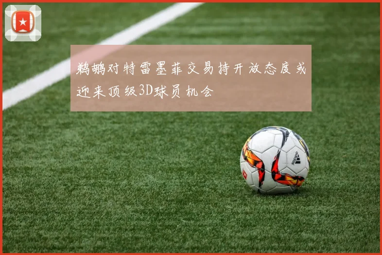 鹈鹕对特雷墨菲交易持开放态度或迎来顶级3D球员机会