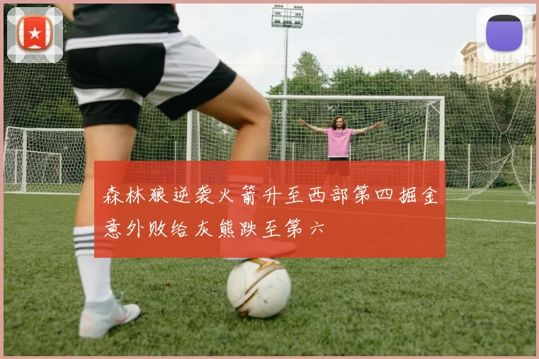 森林狼逆袭火箭升至西部第四掘金意外败给灰熊跌至第六